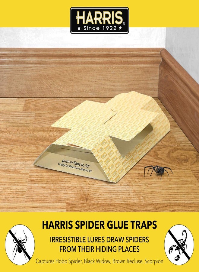 Harris Spider Glue Traps, Pesticide Free (2-Pack), Kills Brown Recluse, Hobo Spider, Black Widow and More - Image 2